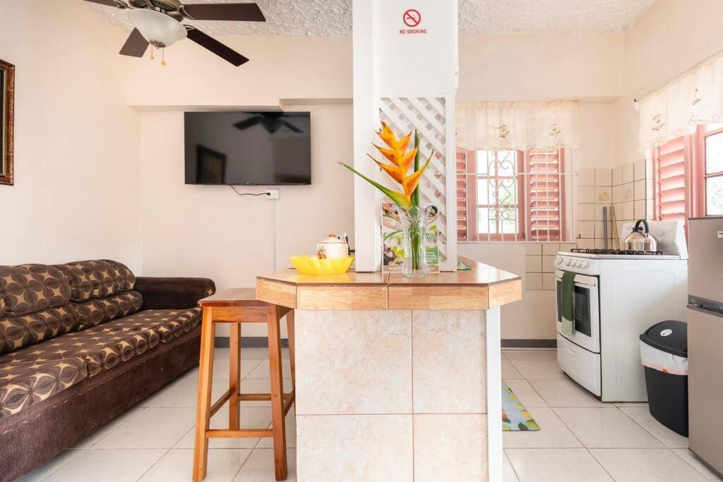 Shaw Park Gem Apt 12A Ocho Ríos Exterior foto